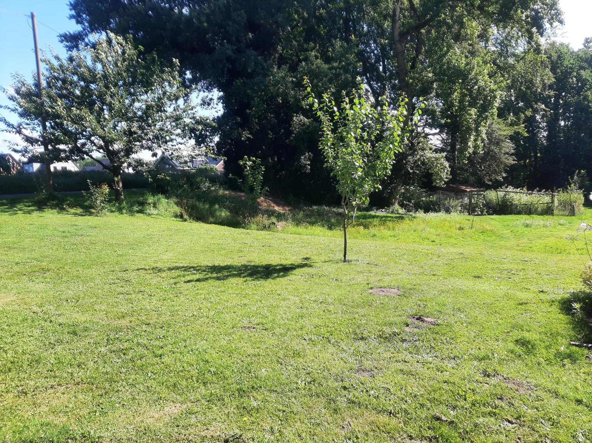 Ladbergen Ferienwohnung Auf Dem Land מראה חיצוני תמונה